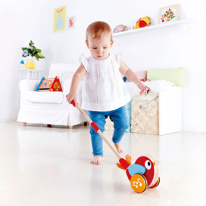 Lily el Pájaro Musical Hape Juguete de Empuje
